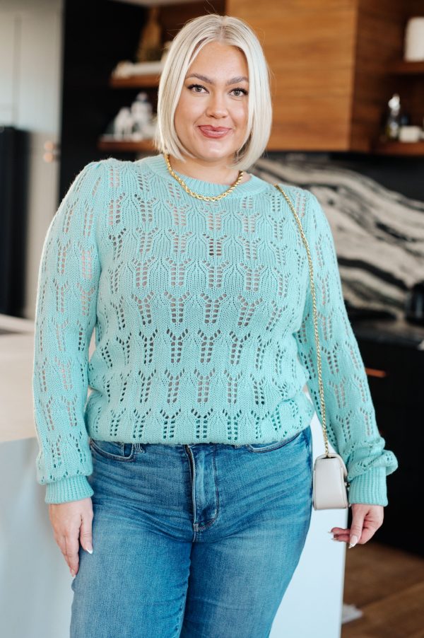 Hazel Blues® |  Hole In One Sheer Pointelle Knit Sweater For Cheap - Image 4